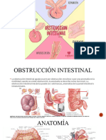 Obstrucción Intestinal