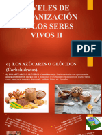 4.niveles de Organización de Los Seres Vivos Ii