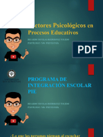 Que Es El PIE