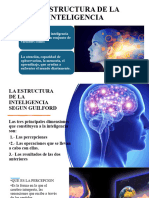 La Estructura de La Inteligencia