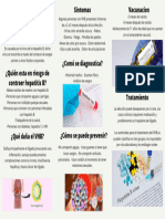 Triptico VHB PDF
