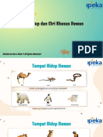 Tempat Hidup Hewan Dan Ciri Khusus Hewan