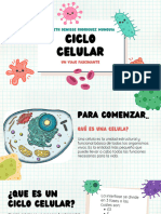 Presentación Biología Ciclo Celular