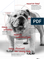 HSUS-Purebred Paradox PDF