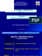 Ambiente y Procesos Sedimentarios - Tema 7 - Ambientes Sedimentarios Marinos - I - 2014 - 02