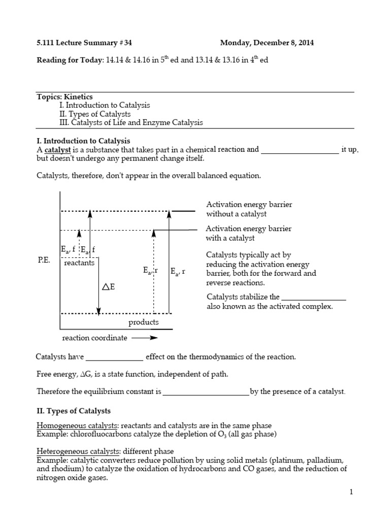 Overview of Catalysis and Enzymes | PDF | Catalysis | Enzyme