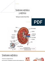 Síndrome Nefrótico y Nefrítico