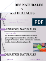 Desastres Naturales y Artificiales