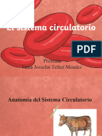 Sistema Circulatorio