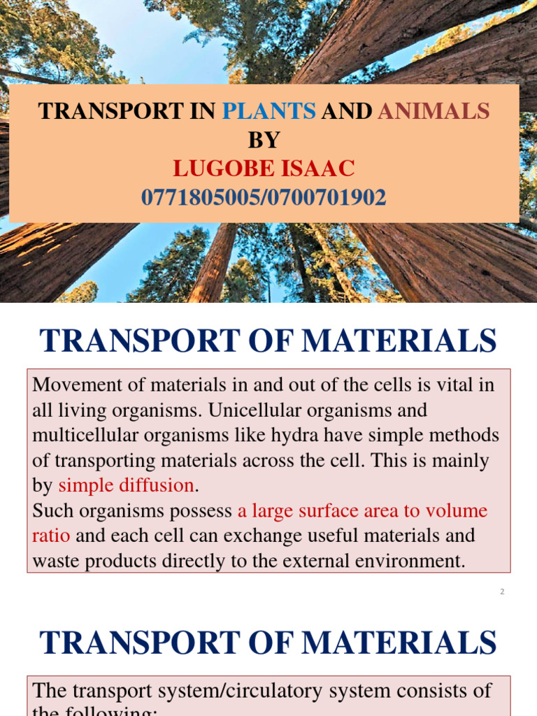 A, Level Transport by MR Li - 1 | PDF | Heart Valve | Diastole