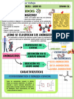 Ficha Resumen de Quimica - Grupo 01 - Aminoacidos