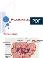 Insulin, Glucagon Final