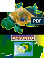 Palestra Amazonia
