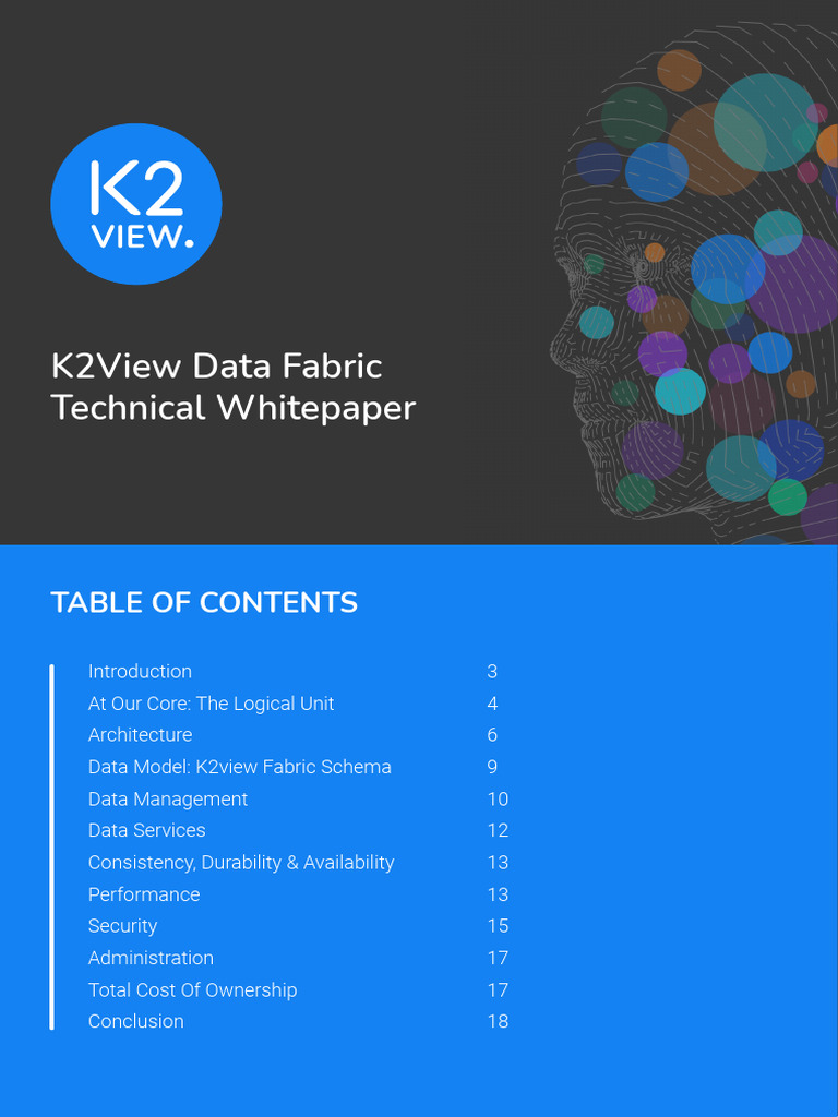 K2View Data Fabric Technical Whitepaper Download Free PDF Databases