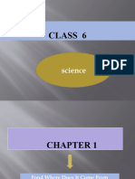 Class 6 ch1 Science