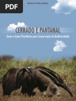 Cerrado Pantanal