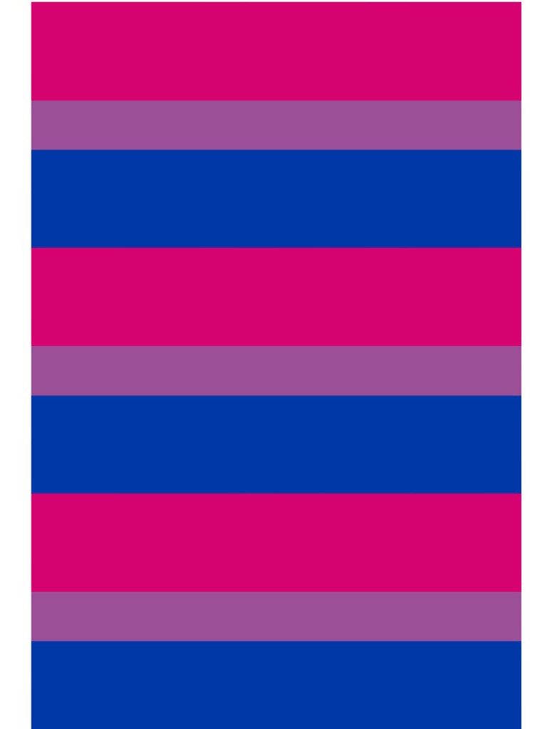 Bisexual Flags Download Print Resource | PDF