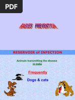 WHO Rabies Vaccination Schedule 2024 | PDF