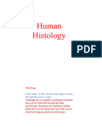Lec 3 Histology (1) - Ar