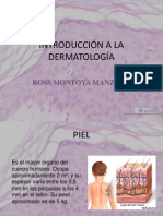 Introducción A La Dermatología