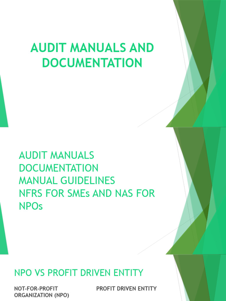 Audit manuals and documentation pdf audit auditor s report