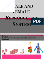 Lesson 1 Male and Female Reproductive System