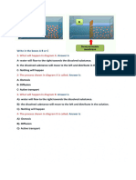 Diffusion Ws 5