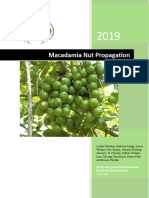 Macadamia Seedlings Mobile App TEMPLATE March 2019 DRAFT LW TN-1