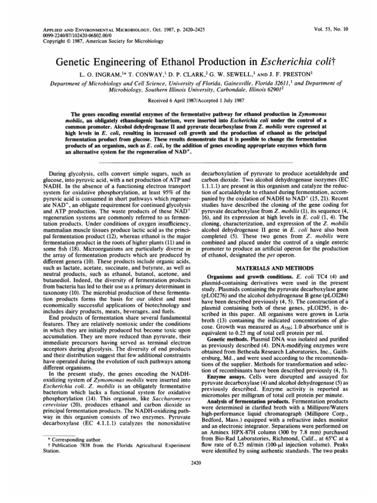 Ethanol Production Pdf Fermentation Pyruvic Acid