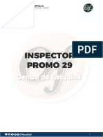 Inspector Promo 29 (3,5)