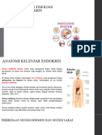 Materi 7 Sistem Endokrin