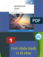 Chap 1 Giới thiệu hành vi tổ chức-SV