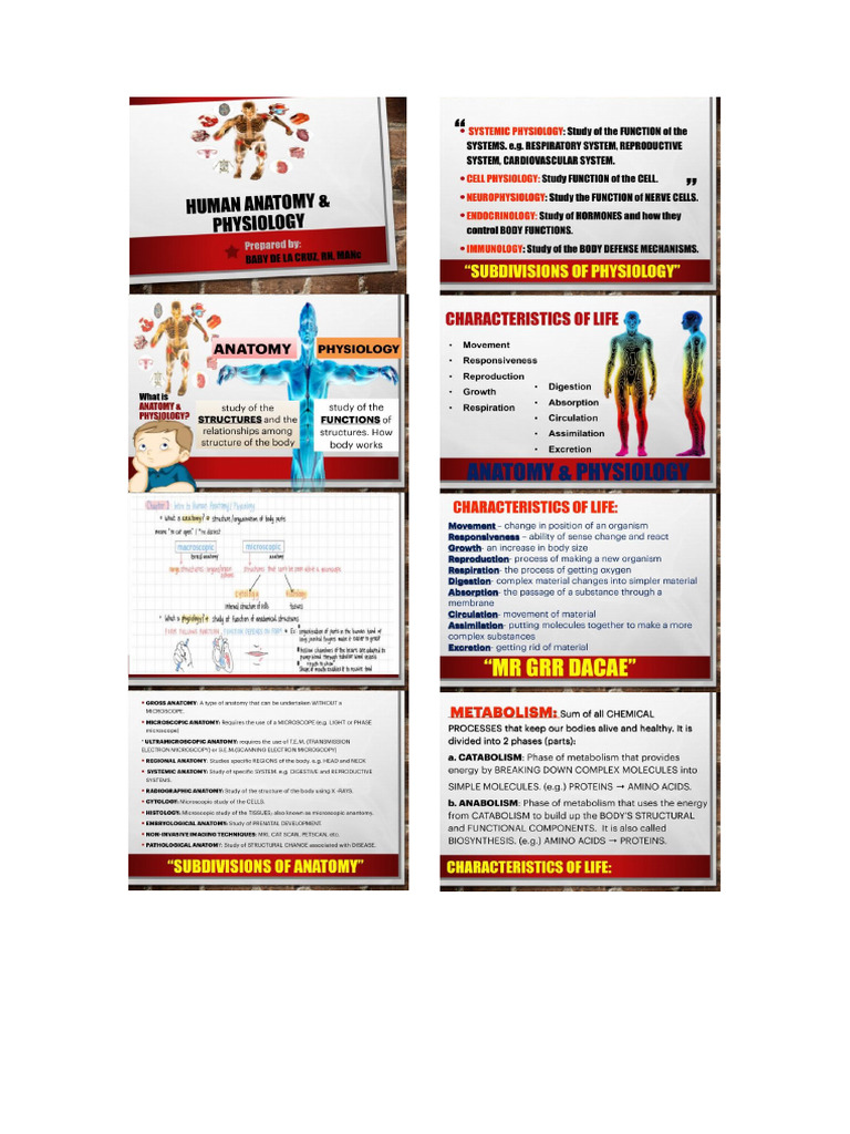 Human Body PDF RVWR | PDF