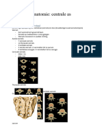 Anatomie Centrale As Revaki