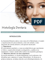 1P1 2024 Histologia Dentaria