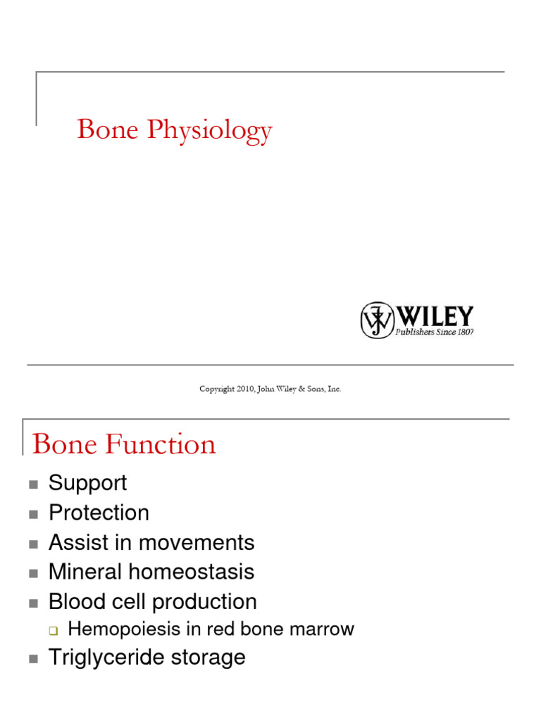 Bone intelligence overview