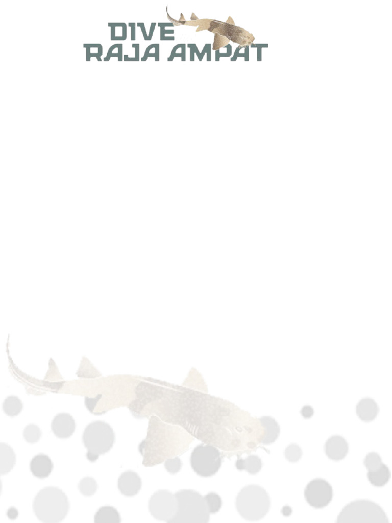 Dira Letter | PDF