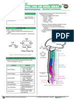 Spinal Cord (3 of 5)