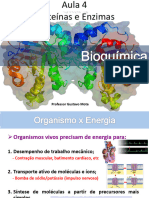 Aula 4 Bioquímica de Enzimas