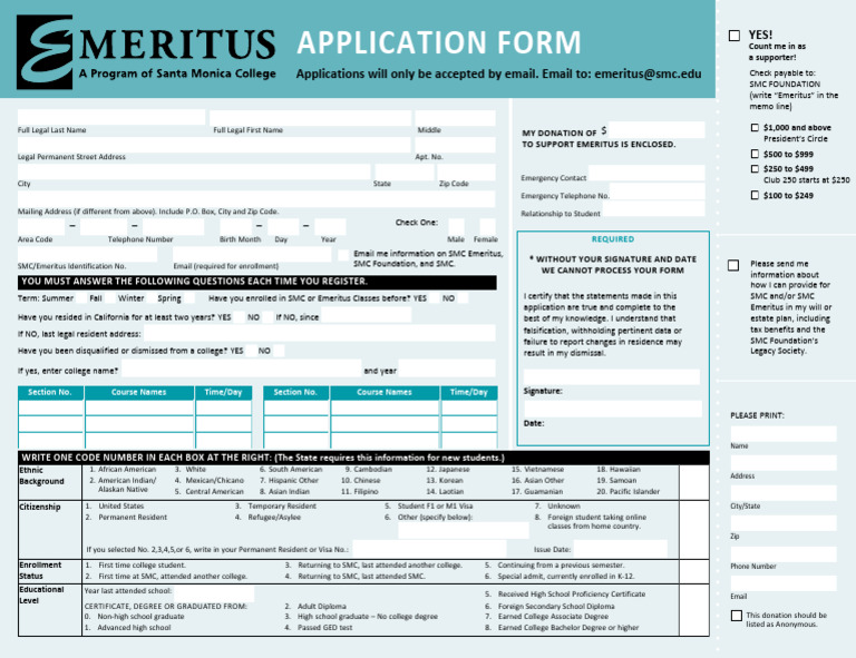 Application Form | PDF | Race And Ethnicity In The United States Census ...