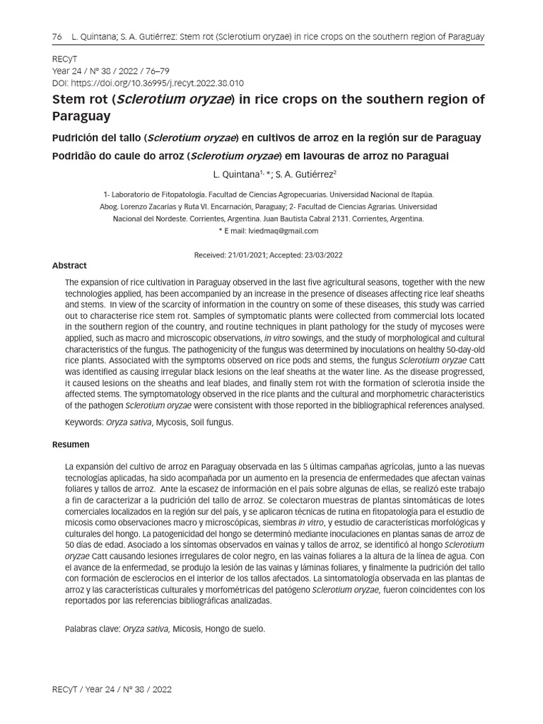 Stem Rot (Sclerotium Oryzae) in Rice Crops On The Southern Region of ...