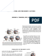 The Gut Tube and The Body Cavities