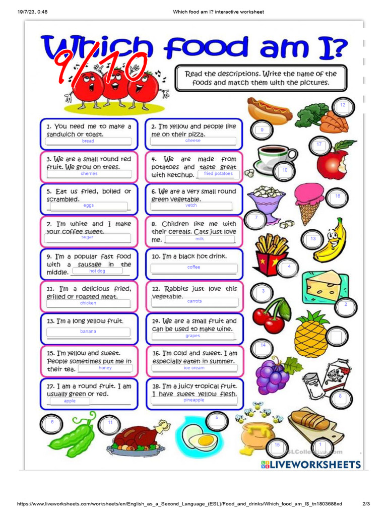 Food Identification Worksheet | PDF | Cooking | Cuisine