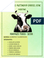 Informe de Forrajes Tosco Seco - Grupo 1