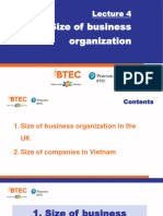 Lecture 4 - Size Business Organization