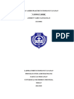 Laporan Akhir Praktikum Fisiologi Tanaman Yabes