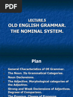 Lecture 5 OE Grammar - Nominal System