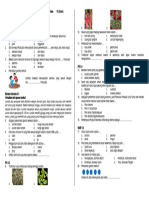 Soal PTS Ganjil Kelas 6 Tema 2