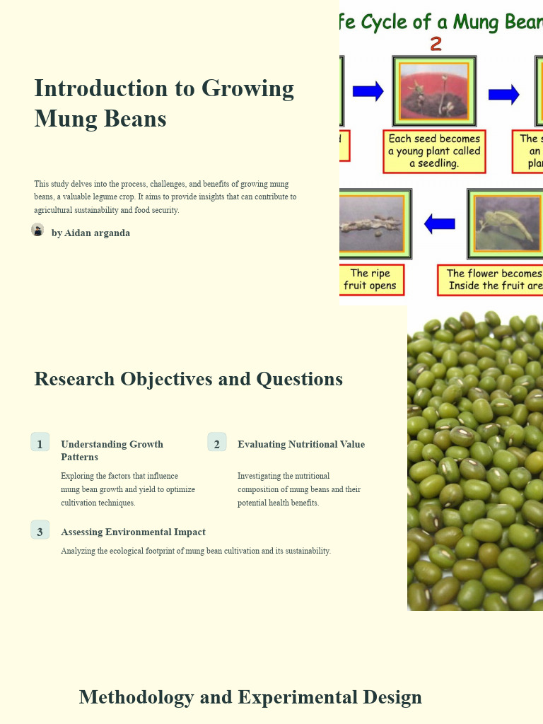 Mung Bean Cultivation Insights and Impact | PDF | Sustainability ...