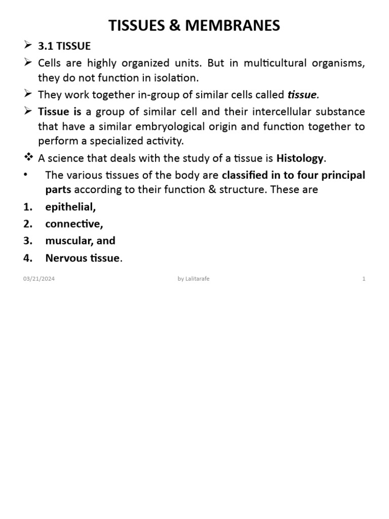 1.2 TISSUES & MEMBRANES - PP | PDF | Epithelium | Connective Tissue